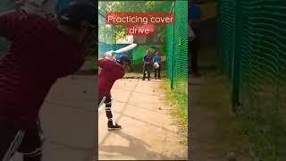 practicing coverdrive #shorts#cricket #coverdrive #drive