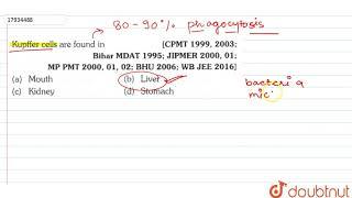 Kupffer cells are found in