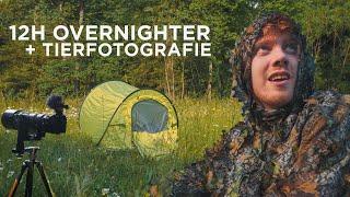 Wilde Tiere fotografieren + 12h Overnighter