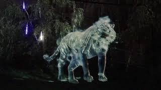 Neweb Labs Holographic Experiences