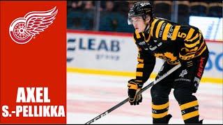 NHL Prospects : Axel Sandin Pellikka - 23-24 Highlights