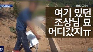 추석 앞두고 사라진 조상묘, 후손 '분통'ㅣMBC충북NEWS