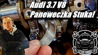 Audi 3.7 V8 - Panewki!