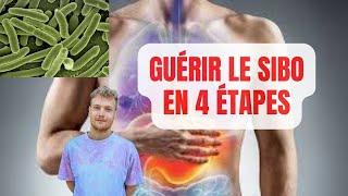 SIBO : 4 ÉTAPES POUR LE GUÉRIR NATURELLEMENT 