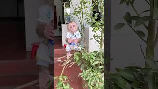 Monkey Pranks Gone Wrong in the Jungle #sorts #monkey #funymonkey #funny #monkeymonkey #babymonkey