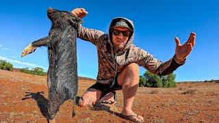 Viviendo de la tierra y Capturando cerdos salvajes - Acampando y navegando