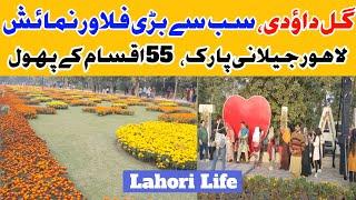 Jilani Park Flowers Exhibition 2024 | Gul E Daudi Flowers Exhibition | Lahori Life