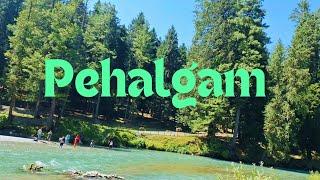 Kashmir Family Tour|Explored Pehalgam|Betaab Vally|Mini Zoo|Epi 1