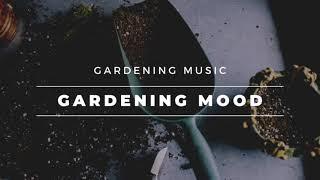 Daily BGM 日常 Gardening Music【Gardening Mood 园艺心情】全网最佳的园艺音乐心情陪伴｜纯音乐 | 轻音乐 | 音乐 陪伴 | 音乐 心灵 | 疗愈 平静