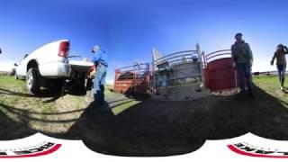 Rice Lake SAS Series Livestock Scale Application: 360° VR Video