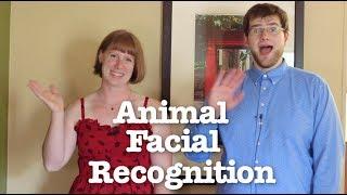 Can animals recognize human faces? Ft. ARTexplains