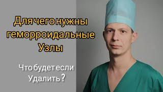 Для чего нужны геморроидальные узлы? Что будет если их удалить?