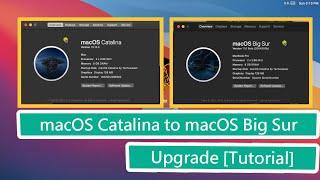 macOS Catalina to macOS Big Sur Upgrade [Tutorial]