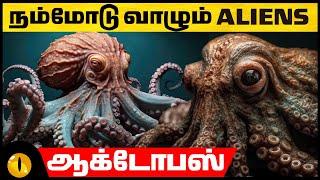 ஆக்டோபஸ்கள் வேற்று கிரக வாசிகளா?! | Interesting Facts about Octopus | Animaltube Tamil