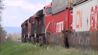 Long Stack Train CN 121 w/Inspection Car Rolling thru Saint Basile, NB as it approaches Edmundston