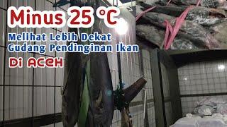 Minus 25 °C || Melihat Gudang Pendinginan Ikan Di Aceh