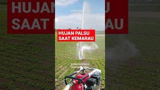 HUJAN PALSU, TEKNOLOGI PENGAIRAN HEMAT BIAYA UNTUK TANAMAN APAPUN