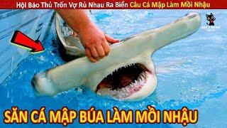 Hội Báo Thủ Trốn Vợ Rủ Nhau Ra Biển Câu Cá Mập Làm Mồi Nhậu || Review Giải Trí Đời Sống