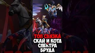 Связка для 4 игроков ТОП СВЯЗКИ | Спектра, Скай маг, Котл, Бруда #dota2 #dota2gameplay