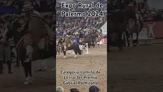 Expo Rural de Palermo 2024- Lomillo de Lezna