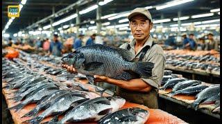 The Secrets of Raising Billions of Tilapia by Chinese Farmers, Earning Billions of Dollars Each Year