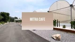 ชวนเที่ยว Mitra cafe at khaoyai ธรรมชาติ แมกไม้ ทะเลสาบเขียว วิวขุนเขา