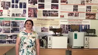 Директор Аграрного института Гочияева Зухра Умаровна