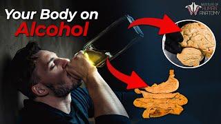 Should You Stop Drinking Alcohol?