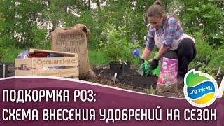 Схема подкормки роз на целый сезон | Органические удобрения для шикарных роз | Органик микс