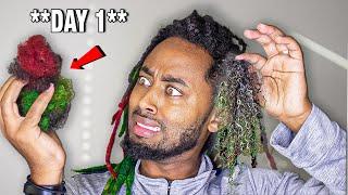 Combing My Locs For 45 Days !