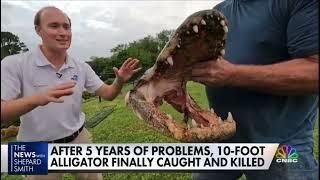 Gage Goulding On The News With Shepard Smith: Port Charlotte Gigantic Gator