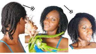 TAKING OUT 8 WEEKS OLD CORNROWS+PREPOO ON NATURAL HAIR USING ALOE VERA FOR THE FIRST TIME *SHOCKED*