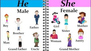 He and She | He and She use for kids |  He and She use | He और  She का उपयोग | He and She in English