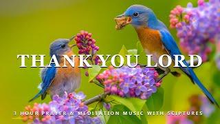 Thank You Lord: Instrumental Worship and Scriptures with Birds  Peaceful Praise