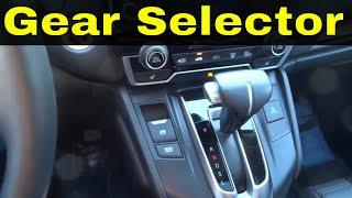 Gear Selector In An Automatic Car-Driving Lesson