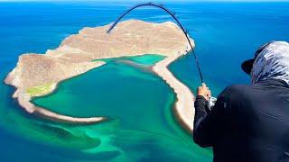 Could this be the BEST fishing in the WORLD?? [Tony Reyes Sea of Cortez]