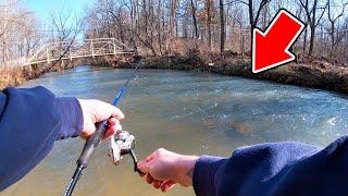 This Small Creek in Pennsylvania Has GREAT Trout Fishing