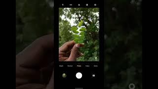 Click in mobile |mobile photography#editing #mobilephotography#shorts#shortsvideo #short#shortvideo