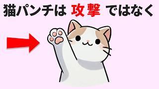 （後編）必見！【1割しか知らない猫の雑学50選】猫の豆知識＆あるあるを一挙公開！ #雑学 #豆知識 #トリビア