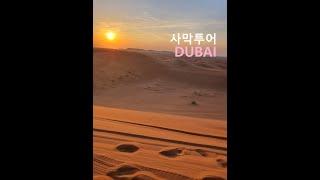 두바이 여행 2. 사막투어: 사파리투어(듄베이싱)+베두인 캠프 UAE Desert Tour: Safari Tour + Bedouin Camp