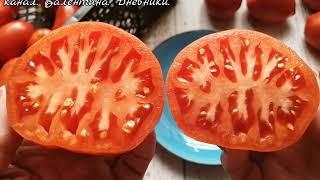 № 274 томаты сорта "Башенки"" урожай и видео 2023 года