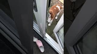 Do you want to come back inside?