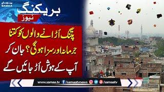 Major amendments to Prohibition of Kite Flying Act, 2007 approved | Breaking News