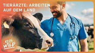 Landtierarzt: Berufstraum oder schlaflose Nächte? | Real Wild Deutschland