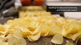 Fry the perfect chip with Elea PEF