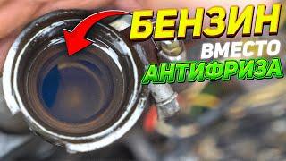 БЕНЗИН вместо АНТИФРИЗА - Что будет?