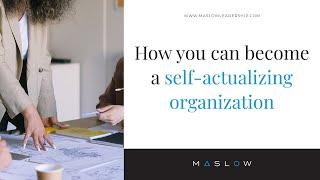 How You Can Become A Self-Actualizing Organization?