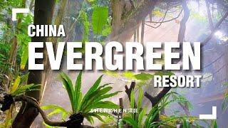 An Artificial Chinese Tropical Rainforest in Shenzhen; The Evergreen Resort 