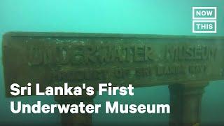 Sri Lanka's First Underwater Museum | NowThis