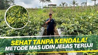 METODE MAS UDIN BIKIN KECANDUAN ‼ JELAS BEDA DENGAN METODE SEBELUMNYA ‼